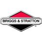 Borboleta de gás Briggs et Stratton - 493556