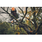 GTA 40 Battery-Powered Saw - STIHL AS SYSTEM with 2 batteries and charger GTA 40 Battery-Powered Saw - STIHL AS SYSTEM with 2 batteries and charger