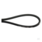 Courroie De Transmission Outils Wolf - 37967