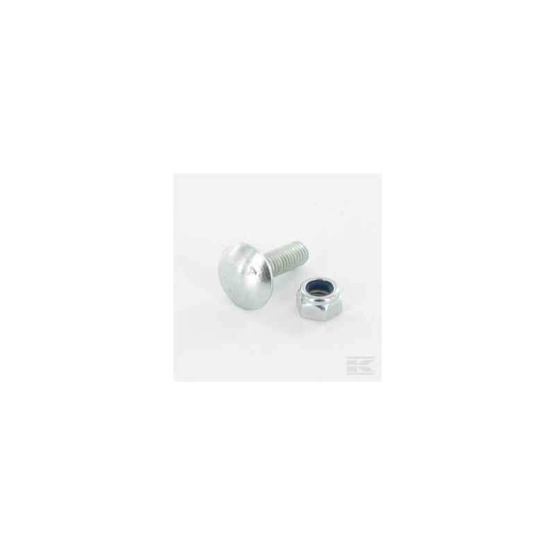 Pack Of 100 Shear Bolts Wolf Tools - 26357