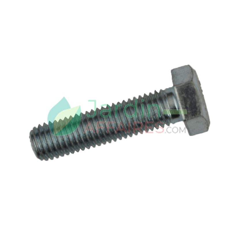 Screw Uni 5739 M 14 x 55 Delmorino 40100145