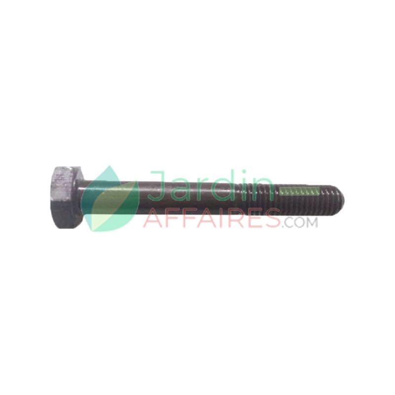 Tornillo Uni 5737 M 10 x 75 Delmorino 40100198