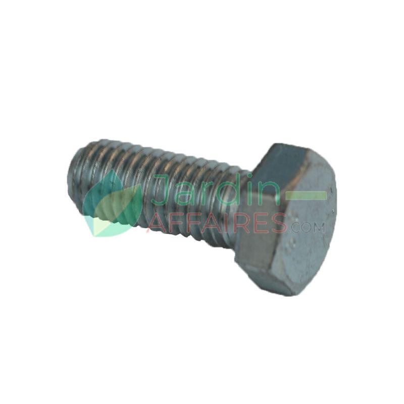 Tornillo Uni 5933 M 10 x 30 Delmorino 40100342