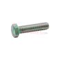 Tornillo Uni 5739 M 12 x 30 Delmorino 40100014