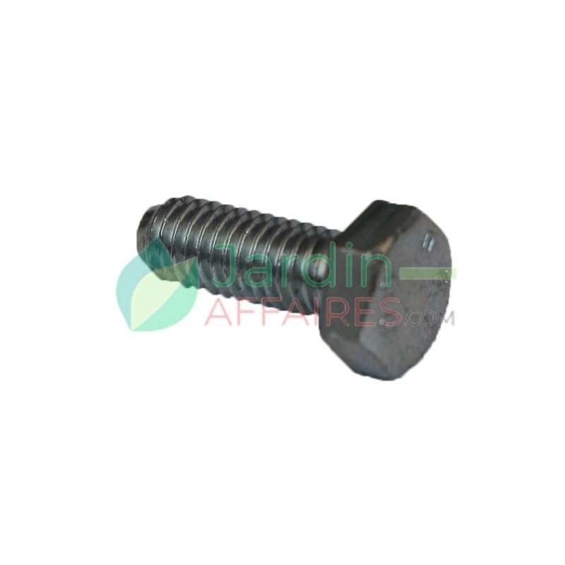 Vis Uni 5739 M 6 x 16 Delmorino 40100087