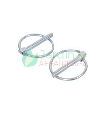 Goupille D6 Delmorino 41300002