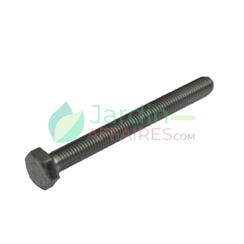 Screw Uni 5739 M 10 x 100 Delmorino 40100135