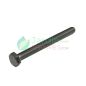 Screw Uni 5739 M 10 x 100 Delmorino 40100135