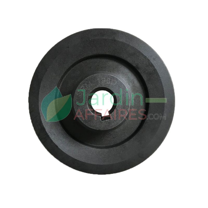 Poulie 140/1B Tondeuse 150 - 235 - Scutum Delmorino SRM196D