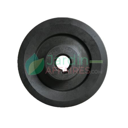 Poulie 140/1B Tondeuse 150 - 235 - Scutum Delmorino SRM196D