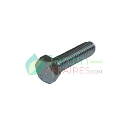 Vis Uni 5739 M 8 x 30 Delmorino 40100029