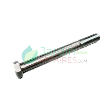 Vis Uni 5737 M 12 x 120 Delmorino 40100048
