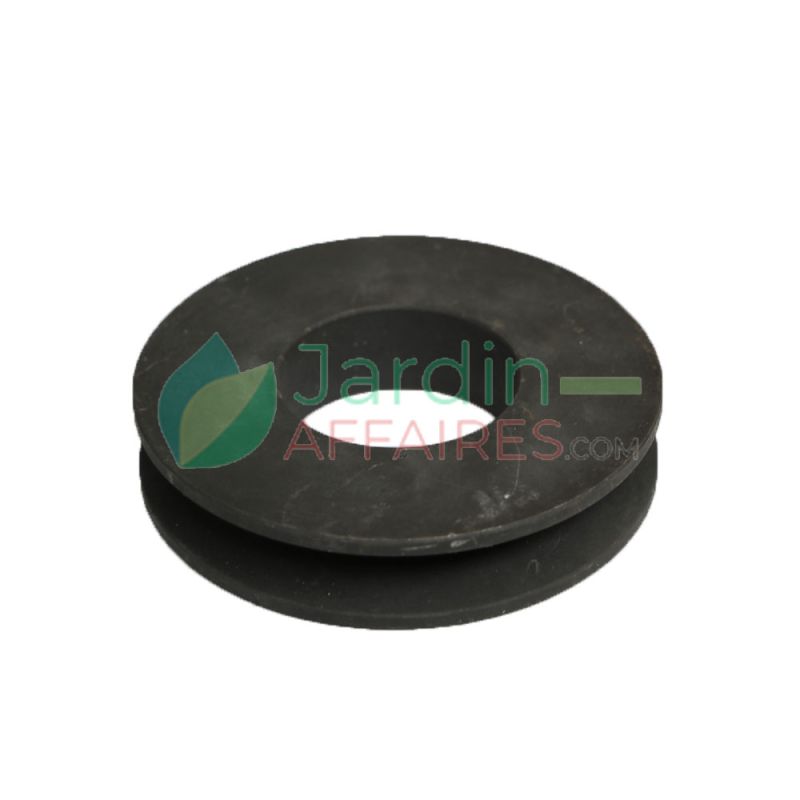 Gusseisen-Riemenscheibe Bibik 122 1B - F55 Delmorino 43700017
