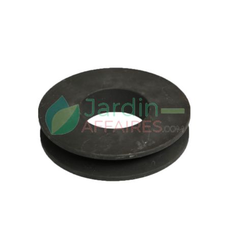 Poulie En Fonte Bibik 122 1B - F55 Delmorino 43700017