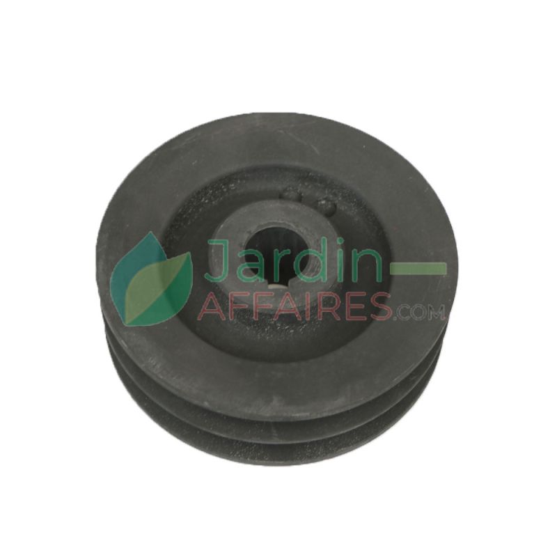 Pulley140/2B Mower 150 - 235 Delmorino SRM197D