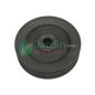 Polea 170/2B Cortacésped 180 Delmorino SRM199D