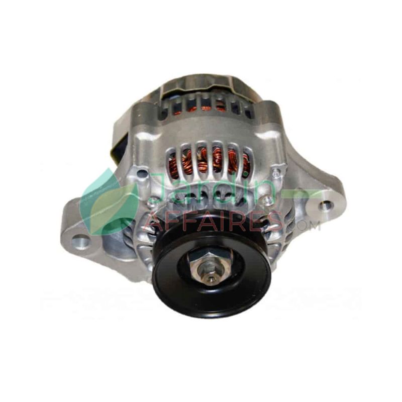 Wisselstroomgenerator Denso 100211-1670 voor Kubota motor, ref. Gianni Ferrari 00.55.01.0550 Wisselstroomgenerator Denso 100211-1670 voor Kubota motor, ref. Gianni Ferrari 00.55.01.0550