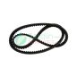 Toothed transmission belt, Gianni Ferrari 00.17.01.0150