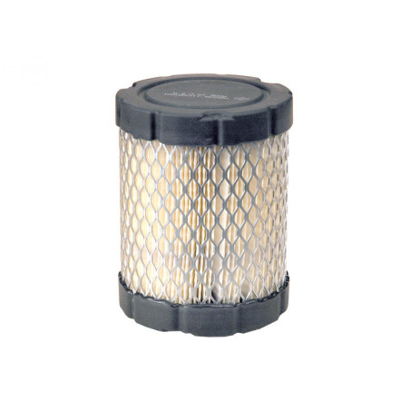 Rotary 14158 - Filtre a air (cartouche) b&s remplace b&s 796032, 591383