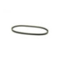 Rotary 14550 - Cinghia pompa idro 1/2' x 51-45/64' gravely (dentata) sostituisce gravely 07200428