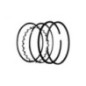 Rotary 6806 - Kohler set segmenti pistone +.020 sostituisce kohler 236765s