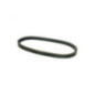 Rotary 16569 - Cinghia di trasmissione per spazzaneve 3/8' x 31' simplicity (dentata) sostituisce simplicity