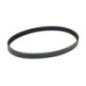 Rotary 12916 - Cinghia di trasmissione pompa 11/16' x 57-3/16' toro sostituisce toro 1-633749, husqvarna
