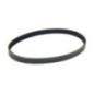 Rotary 14237 - Pump drive belt 7/8' x 31-1/2' (ribbed) john deere replaces john deere