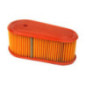 Rotary 12968 - Filtre a air (cartouche) b&s remplace b&s - 12968