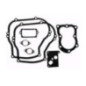 Rotary 1470 - Jeu de joints b&s 4 & 5hp vert. remplace b&s