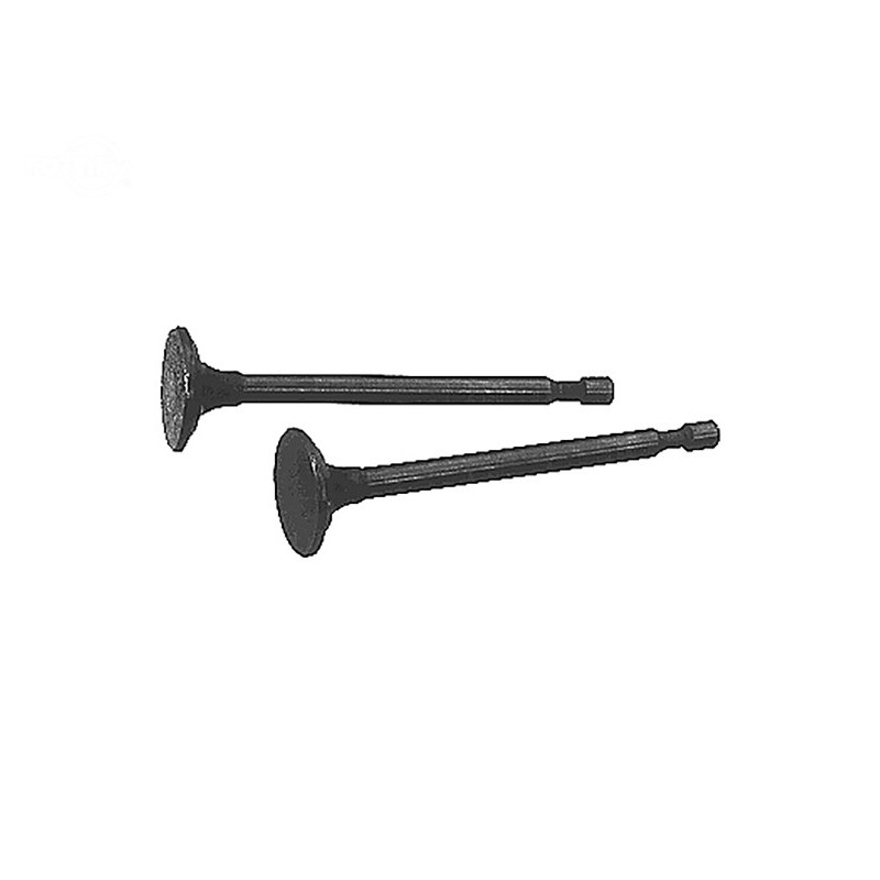 Rotary 9829 - Válvula de escape Honda substitui Honda - 9829