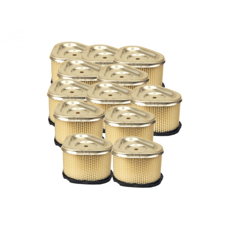 Rotary 12935 - Luftfilter (Papier) als Schüttgut (12 Stück 6605) Kohler ersetzt Kohler