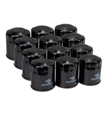 Rotary 12864 - Filtro dell'olio sfuso (12 pezzi 6600) Kawasaki sostituisce Kawasaki