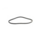 Rotary 16099 - S8m-800 courroie de distribution stiga remplace stiga 9585016401