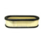 Rotary 2806 - Air filter (paper) b&s replaces b&s - 2806