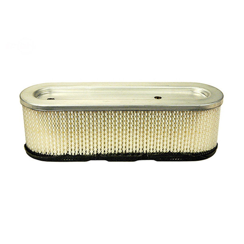 Rotary 5941 - Filtre a air (papier) b&s remplace b&s - 5941