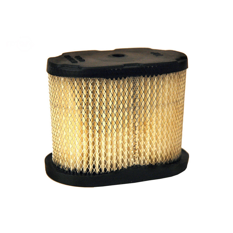 Rotary 9168 - Air filter (paper) b&s replaces b&s - 9168