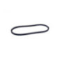 Rotary 16572 - Snow blower rotor drive belt 3 ribs x 32.1' Toro replaces Toro
