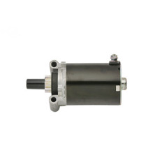 Rotary 2509807S - Démarreur électrique-entraînement bendix - oem kohler remplace kohler 25 098