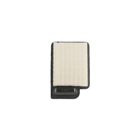 Rotary 2008306S - Filtre a air kohler oem origine kohler 20 083 06-s, 20 083