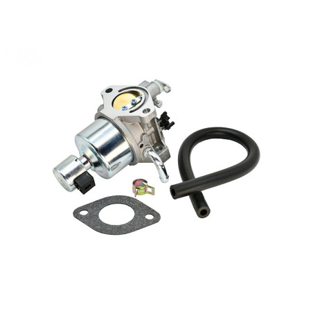 Rotary 17323 - Carburador briggs & stratton substitui b&s 594605 & john deere