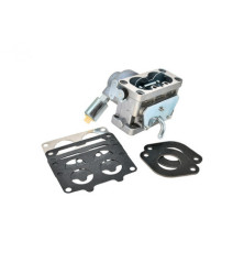Rotary 17325 - Carburateur briggs & stratton vervangt b&s 796997 & john deere