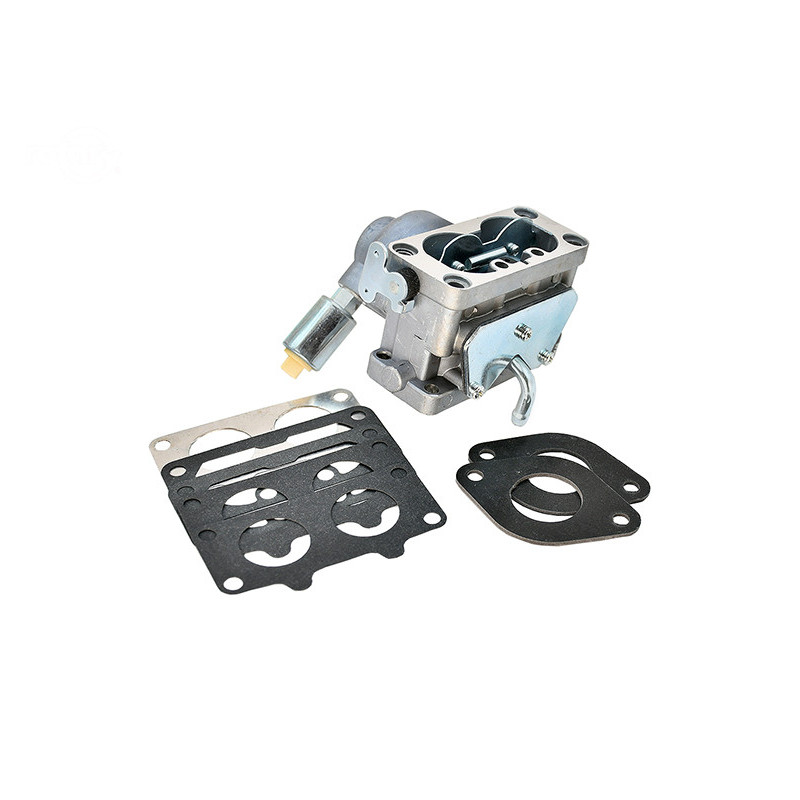 Rotary 17325 - Carburateur briggs & stratton vervangt b&s 796997 & john deere