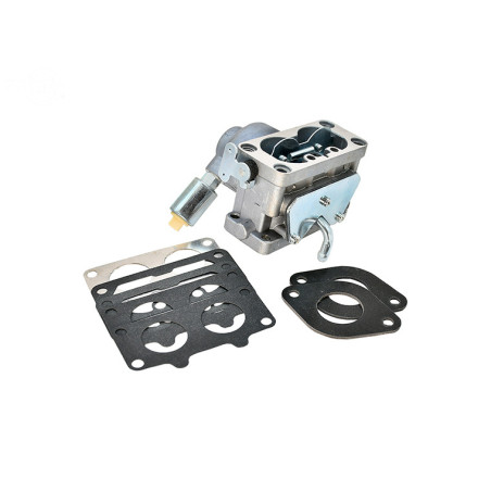 Rotary 17325 - Carburateur briggs & stratton remplace b&s 796997 & john deere