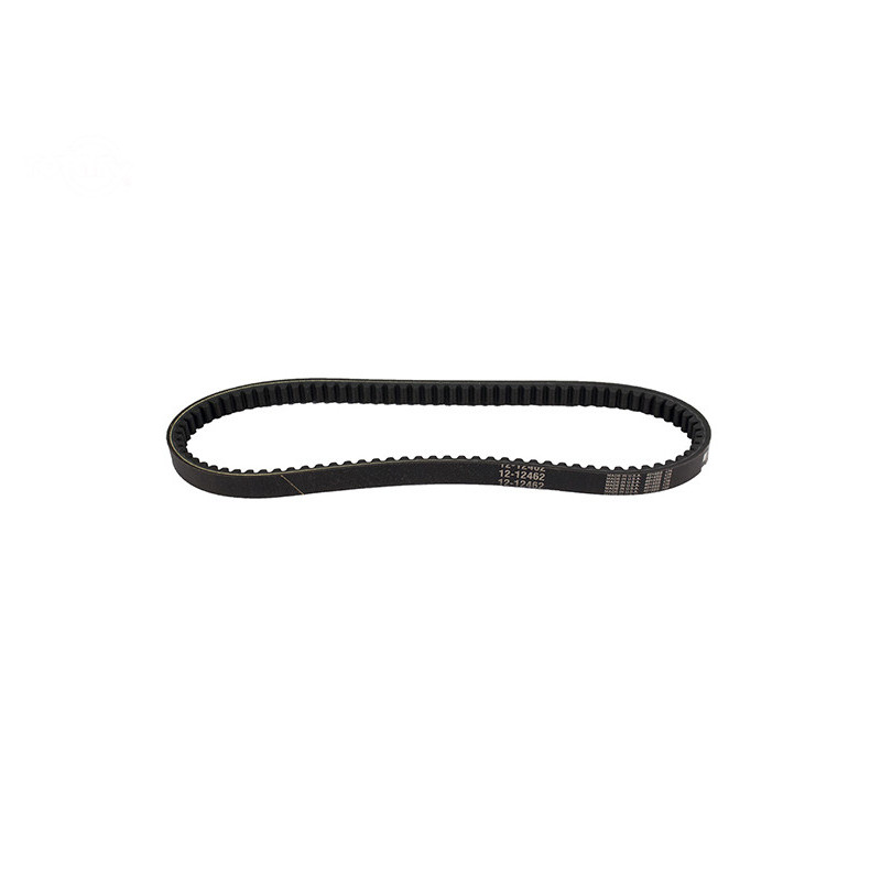 Rotary 12462 - Courroie convertisseur de couple 11/16' x 34.5' murray remplace murray