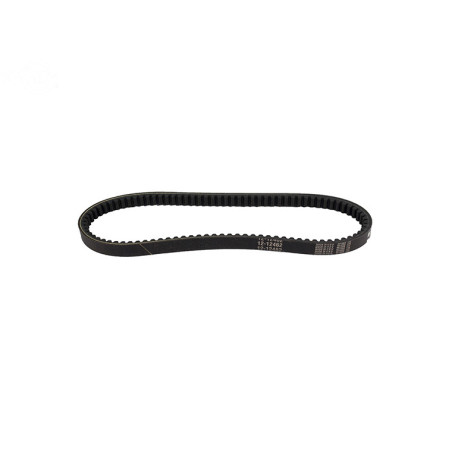Rotary 12462 - Courroie convertisseur de couple 11/16' x 34.5' murray remplace murray