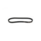 Rotary 12462 - Courroie convertisseur de couple 11/16' x 34.5' murray remplace murray