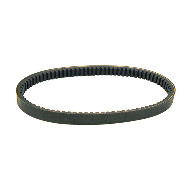 Rotary 13627 - Drehmomentwandler-Riemen 0,875' x 31,9' Comet ersetzt Comet