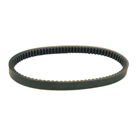 Rotary 13627 - Drehmomentwandler-Riemen 0,875' x 31,9' Comet ersetzt Comet