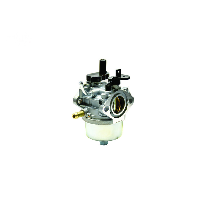 Rotary 17106 - Ersatzvergaser für Briggs & Stratton 801396, 801233